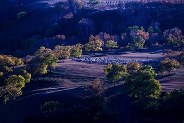 _IMG5990.