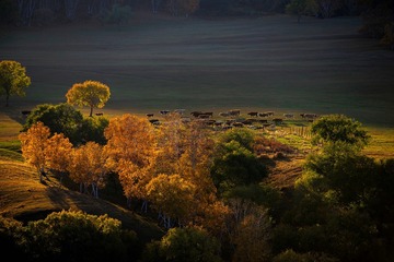 _IMG5999.