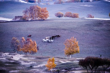 _IMG6029.