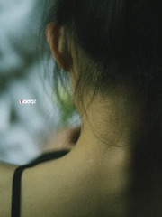 _3190355