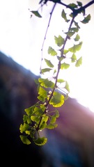 P4030534
