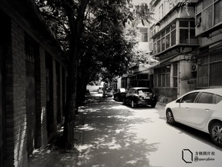 DSCN8816_