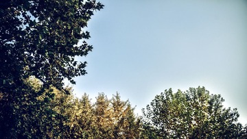 VLA_1032