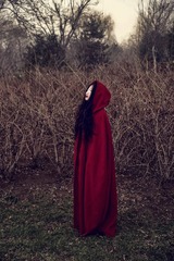 VLA_2203