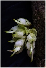Image00002