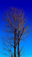 0B2E11F8-03E8-4534-A06E-B3094866A9CB/L0/001