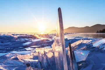 _DSC0335