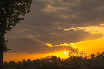 夕阳