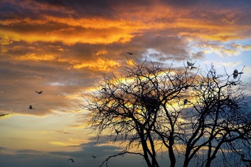 DSC_4310-11