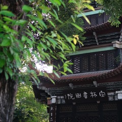 7D370259-C956-4409-A75F-43C00558B987/L0/001