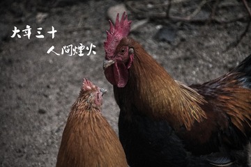 9121891F-2F8A-4EA2-B2D1-3F7D50A7E5D8/L0/001