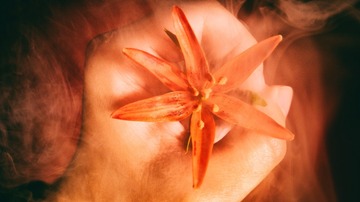 DSCF8491-1 - 
