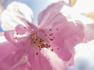 DSCF6678-2
