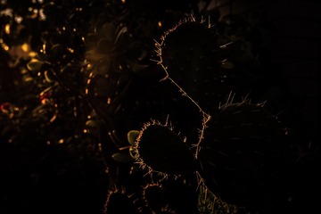 1480710