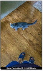 20130714-_L010053 co~py.JPG