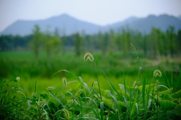 4366DEED-3EAC-453E-95AD-9C587D8F607F/L0/001