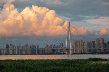 208155