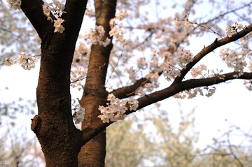 WYL_5687