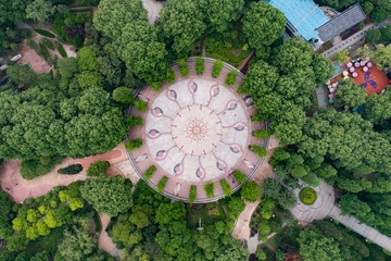 DJI_0006