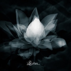 WYL_6925-编辑