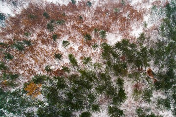 DJI_0003