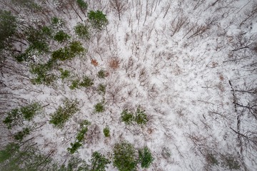 DJI_0006