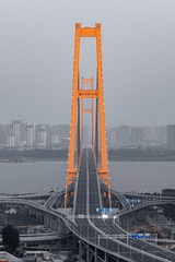 228499