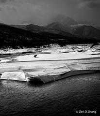 _ZDZ8731_1