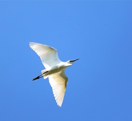 934583
