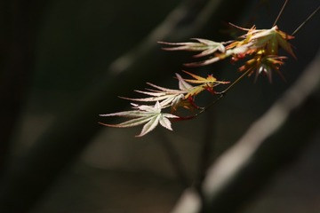 720040