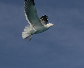 1201203