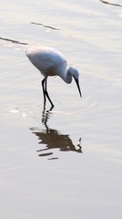 11053