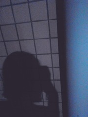 1406043