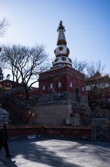 DSC02175_LR