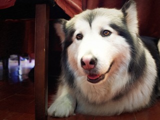 _DSC6211_DxO
