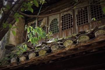 _DSC6335_DxO