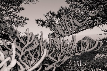 20160216-14-1