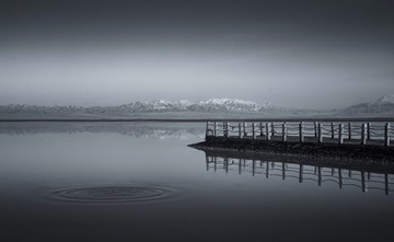 DSC_2581 - 