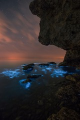 荧光海 压缩