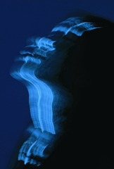 Optional("3648EE67-9E4D-4934-9C08-16984BCC221F/L0/001")