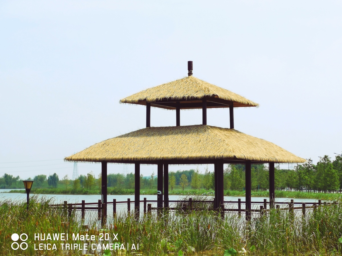 习作《水中.凉亭》