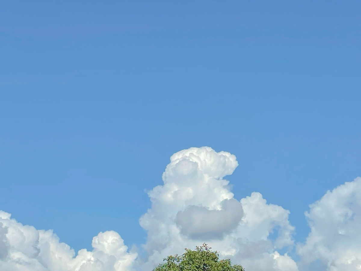 谁会不喜欢这棉花糖般的白云呢