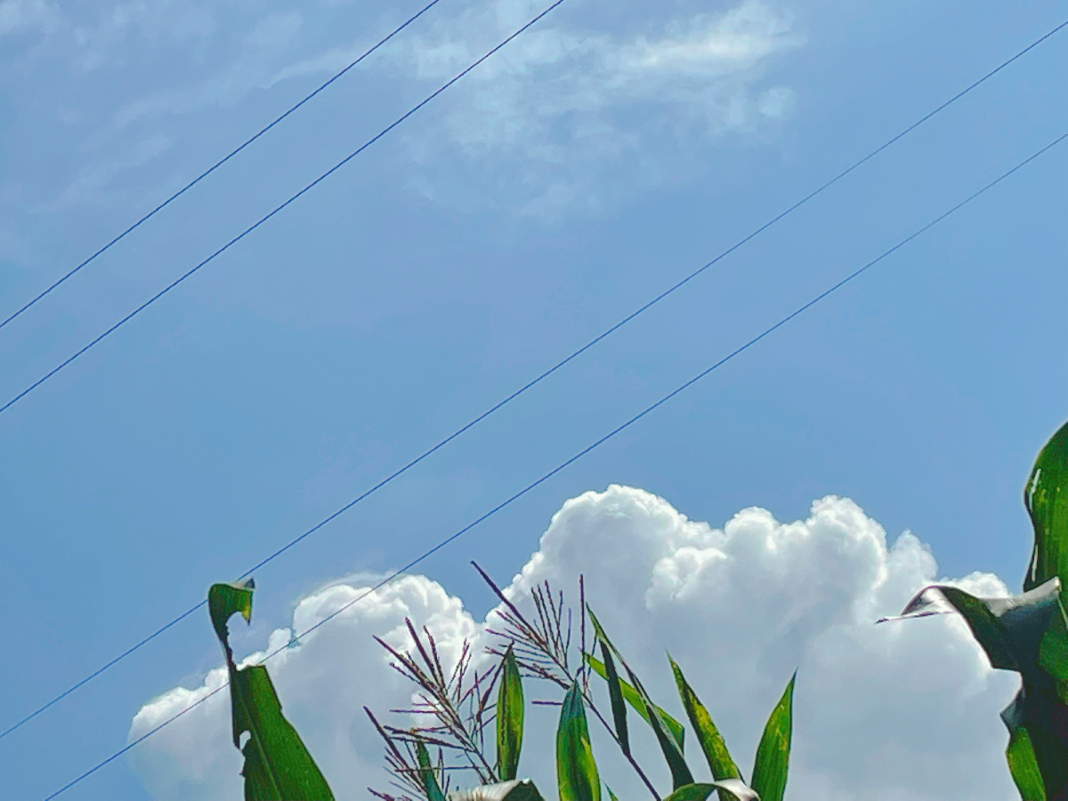 谁会不喜欢这棉花糖般的白云呢