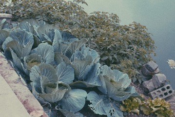 1064565