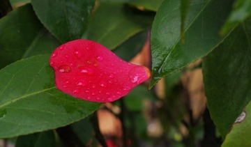 IMGP8167_