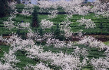 IMGP5053_