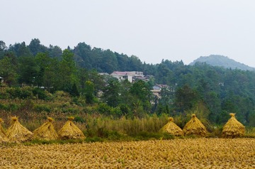 20161007-IMGP9809
