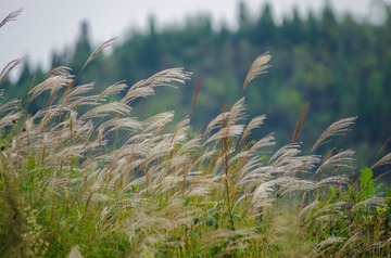 20161007-IMGP9832