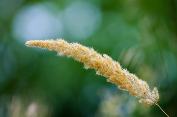 20161007-IMGP9861