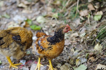 20161007-IMGP9863